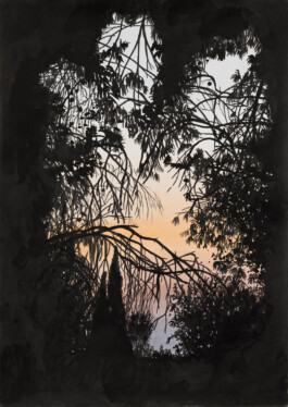 Avishai Platek
