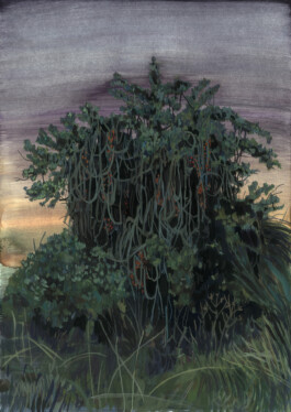 Avishai Platek